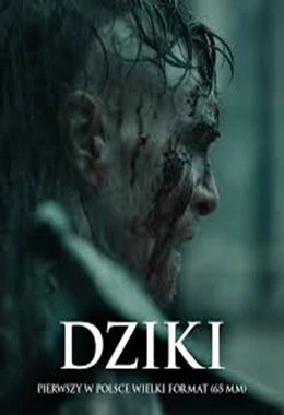 Dziki